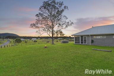 Farm Auction - NSW - Clarence Town - 2321 - Contemporary Elegance On Acres  (Image 2)