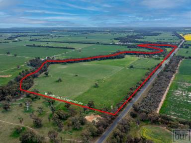 Farm For Sale - NSW - Culcairn - 2660 - Outstanding small farm with Billabong Creek frontage  (Image 2)