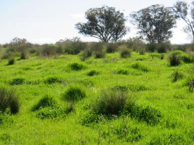 Farm For Sale - NSW - Nundle - 2340 - "Oakleigh" Something Special -  Picturesque | Fertile |  Productive |  Water Abundance  (Image 2)