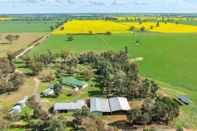 Farm For Sale - NSW - Rand - 2642 - THUIN PARK AGGREGATION- RAND NSW- 3327* Acres/ 1306* Ha
HIGHLY PRODUCTIVE EASTERN RIVERINA HOLDING  (Image 2)