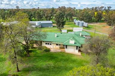 Farm For Sale - NSW - Rand - 2642 - THUIN PARK AGGREGATION- RAND NSW- 3327* Acres/ 1306* Ha
HIGHLY PRODUCTIVE EASTERN RIVERINA HOLDING  (Image 2)