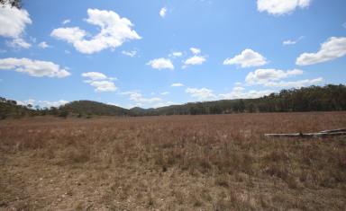 Farm For Sale - QLD - Mungungo - 4630 - 'Hillview' - Development Opportunity, Water Security & Fat Cattle  (Image 2)