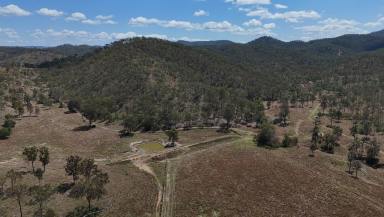 Farm For Sale - QLD - Mungungo - 4630 - 'Hillview' - Development Opportunity, Water Security & Fat Cattle  (Image 2)