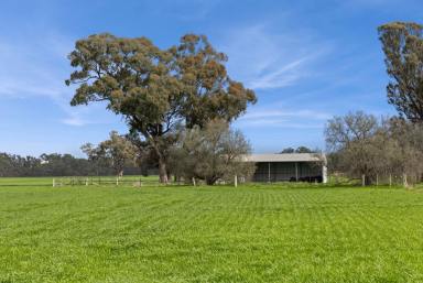 Farm For Sale - VIC - Muskerry - 3557 - Superb River Country  (Image 2)