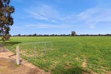 Farm For Sale - VIC - Muskerry - 3557 - Superb River Country  (Image 2)