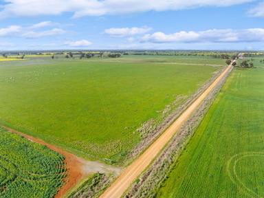 Farm For Sale - VIC - Colbinabbin - 3559 - Prime 100 Acre Farming Land  (Image 2)