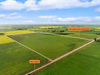 Farm For Sale - VIC - Colbinabbin - 3559 - Prime 100 Acre Farming Land  (Image 2)