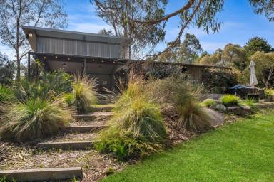 Farm For Sale - VIC - Ravenswood - 3453 - Idyllic Privacy on Phenomenal Acreage  (Image 2)