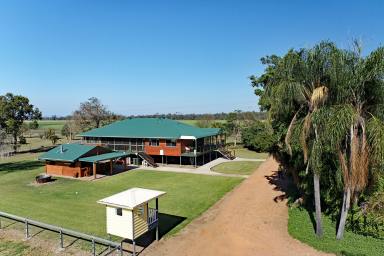 Farm Auction - QLD - Jambin - 4702 - Welcome to 'Small Akers'  (Image 2)