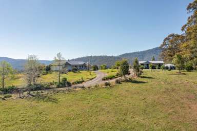 Farm For Sale - NSW - Stroud - 2425 - 'Pepper View'  (Image 2)