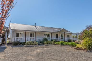 Farm For Sale - NSW - Stroud - 2425 - 'Pepper View'  (Image 2)