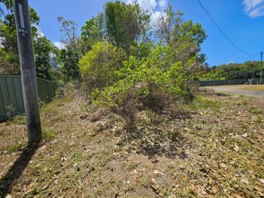 Farm For Sale - QLD - Cooktown - 4895 - 1 Acre Country Block  (Image 2)