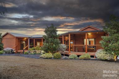 Farm For Sale - SA - Renmark - 5341 - A Unique Blend of Rustic Charm and Modern Elegance  (Image 2)