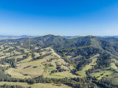 Farm Auction - NSW - Dungog - 2420 - Riverfront Rural Seclusion  (Image 2)