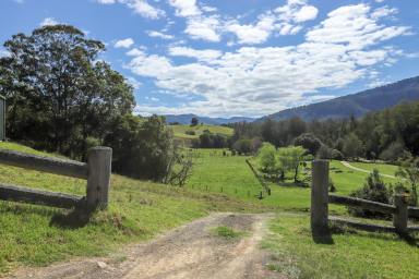 Farm Auction - NSW - Dungog - 2420 - Riverfront Rural Seclusion  (Image 2)