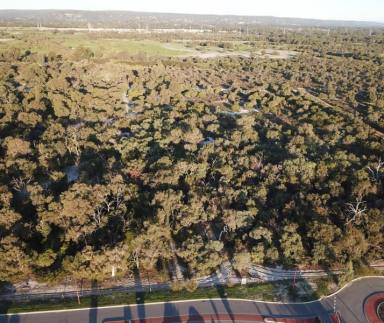 Farm For Sale - WA - Southern River - 6110 - Large Lifestyle Lot with Approved Plan for Single Dwelling on Approx 10-acre  (Image 2)