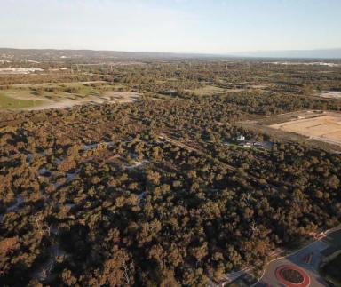 Farm For Sale - WA - Southern River - 6110 - Large Lifestyle Lot with Approved Plan for Single Dwelling on Approx 10-acre  (Image 2)