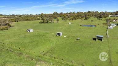 Farm For Sale - VIC - Hastings - 3915 - 4.2 Acres—Kickstart Your Rural Dream  (Image 2)