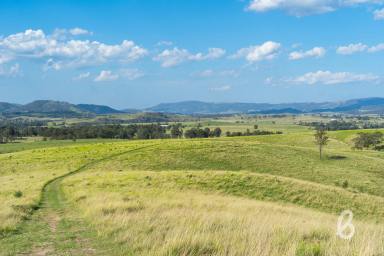 Farm For Sale - NSW - Singleton - 2330 - REMARKABLE VIEWS | THE ULTIMATE RURAL LIFESTYLE  (Image 2)