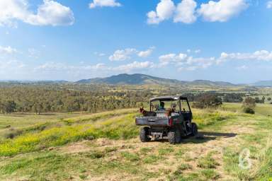 Farm For Sale - NSW - Singleton - 2330 - REMARKABLE VIEWS | THE ULTIMATE RURAL LIFESTYLE  (Image 2)