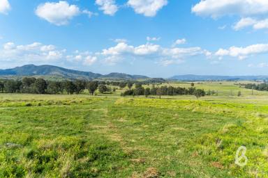 Farm For Sale - NSW - Singleton - 2330 - REMARKABLE VIEWS | THE ULTIMATE RURAL LIFESTYLE  (Image 2)