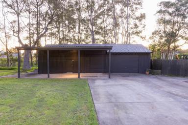 Farm For Sale - NSW - Bolwarra Heights - 2320 - Magnificent Architecturally Designed Estate  (Image 2)