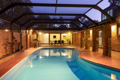 Farm For Sale - NSW - Bolwarra Heights - 2320 - Magnificent Architecturally Designed Estate  (Image 2)