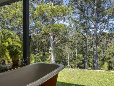 Farm For Sale - NSW - Bellingen - 2454 - Escape to "Yurnga" View Among the Hills and experience serenity on these Perfectly Private 5 acres  (Image 2)