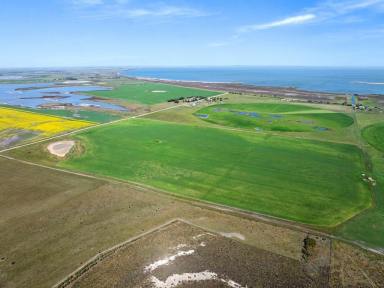 Farm For Sale - SA - Mulgundawa - 5255 - 'Chetwood' – Water. Centre Pivot Irrigation. Modern Home.  (Image 2)