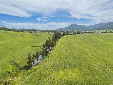 Farm Auction - NSW - Stanhope - 2335 - A Rural Lifestyle Dream  (Image 2)