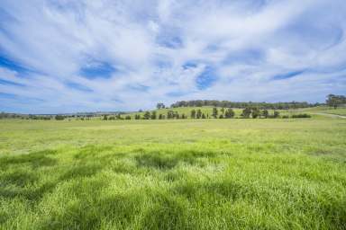 Farm For Sale - NSW - Stanhope - 2335 - Escape to Eden  (Image 2)