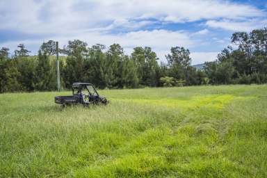 Farm For Sale - NSW - Stanhope - 2335 - Escape to Eden  (Image 2)