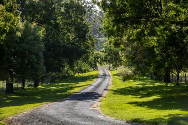 Farm For Sale - NSW - Black Mountain - 2365 - "Old Belmont" - Live Your Best Life at 'Old Belmont'  (Image 2)