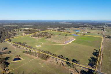 Farm For Sale - VIC - Muckleford - 3451 - Majestic Farmland  (Image 2)