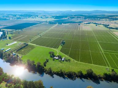 Farm For Sale - NSW - Tucki Tucki - 2480 - Organic 46 Hectare Farm with Wilson River Frontage  (Image 2)