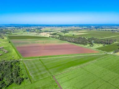 Farm For Sale - NSW - Tucki Tucki - 2480 - 53 Hectare Land Parcel  (Image 2)