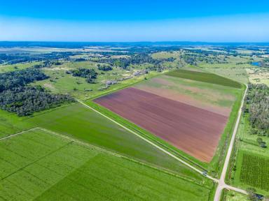 Farm For Sale - NSW - Tucki Tucki - 2480 - 53 Hectare Land Parcel  (Image 2)