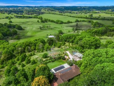 Farm For Sale - NSW - Clunes - 2480 - Exceptional Views over Eltham Valley and Beyond  (Image 2)