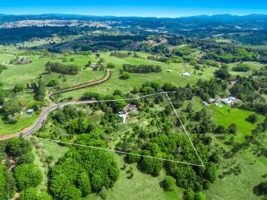 Farm For Sale - NSW - Clunes - 2480 - Exceptional Views over Eltham Valley and Beyond  (Image 2)