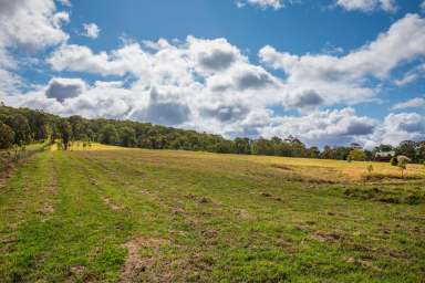 Farm For Sale - NSW - Booral - 2425 - Your Piece of Country!  (Image 2)