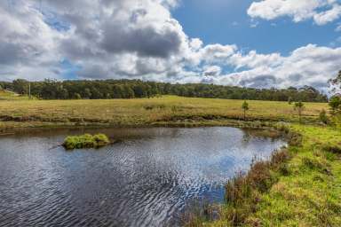 Farm For Sale - NSW - Booral - 2425 - Your Piece of Country!  (Image 2)