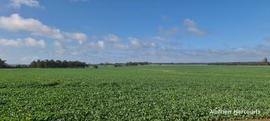 Farm For Sale - WA - Frankland River - 6396 - Very reliable productive broadacre property. As good as it gets in farming!  (Image 2)