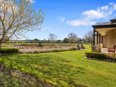 Farm For Sale - VIC - Alberton West - 3971 - Luxury Lifestyle Property with Picturesque Rural Views  (Image 2)