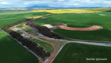 Farm For Sale - WA - Borden - 6338 - "Seymour's"  (Image 2)