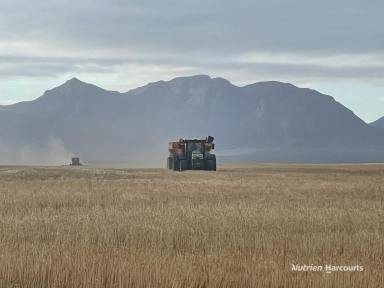 Farm For Sale - WA - Kojaneerup South - 6328 - 'Que-Sera' - 3285 Chillinup Road, Kojaneerup South  (Image 2)