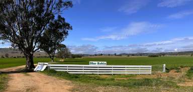 Farm Auction - NSW - LEADVILLE - 2844 - Dhu Robin, Leadville to be offered for sale for the first time since 1958.  (Image 2)