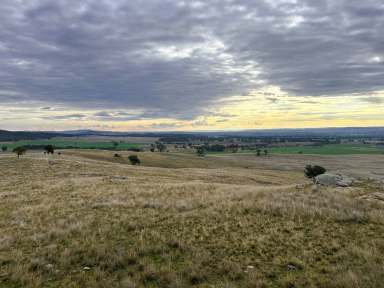 Farm Auction - NSW - LEADVILLE - 2844 - Dhu Robin, Leadville to be offered for sale for the first time since 1958.  (Image 2)