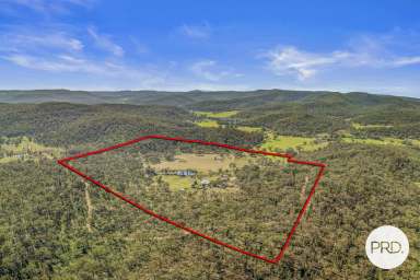 Farm For Sale - NSW - Giants Creek - 2328 - **Price Improvement** Embrace the Ultimate Rural Retreat in Giants Creek!  (Image 2)