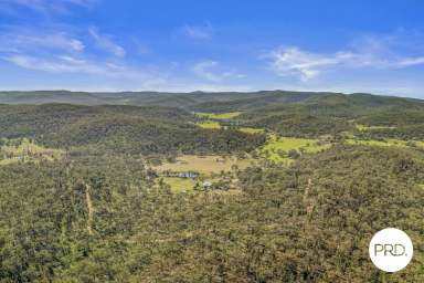 Farm For Sale - NSW - Giants Creek - 2328 - **Price Improvement** Embrace the Ultimate Rural Retreat in Giants Creek!  (Image 2)