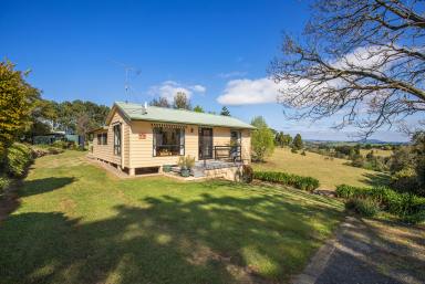 Farm For Sale - NSW - Dorrigo - 2453 - Spectacular plateau views with a delightful cottage perched on 8 acres of land  (Image 2)